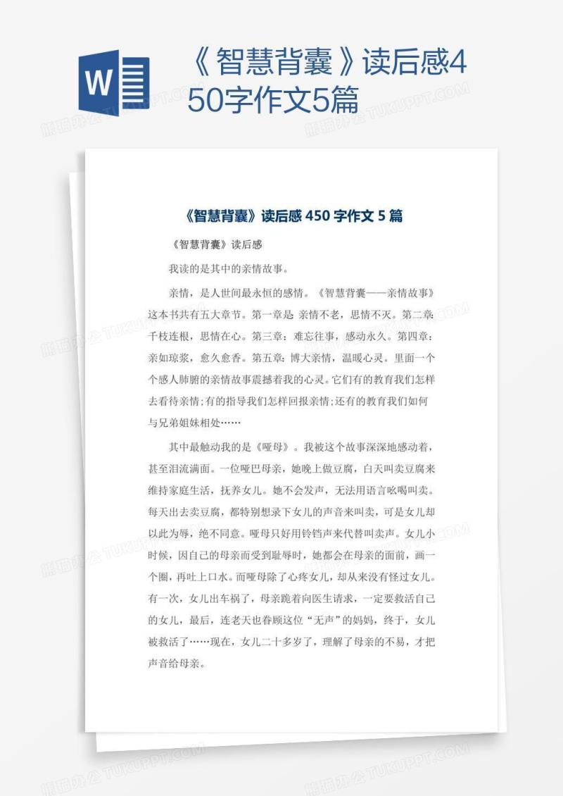 《智慧背囊》读后感450字作文5篇