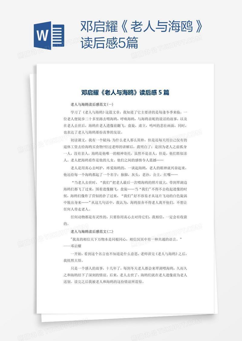 邓启耀《老人与海鸥》读后感5篇