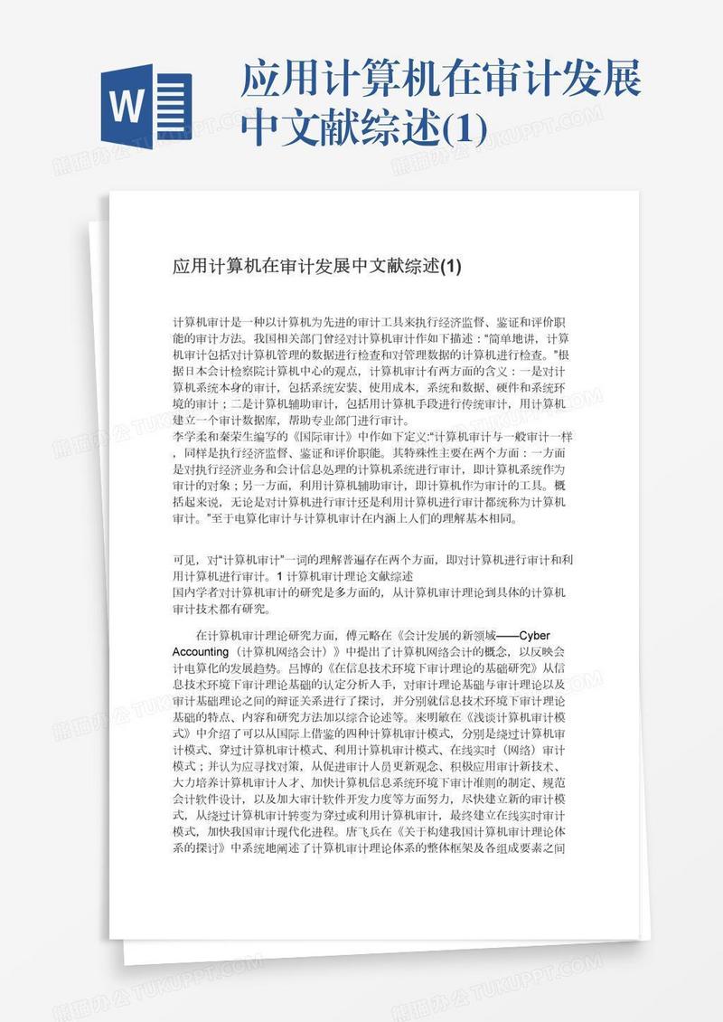 应用计算机在审计发展中文献综述(1)