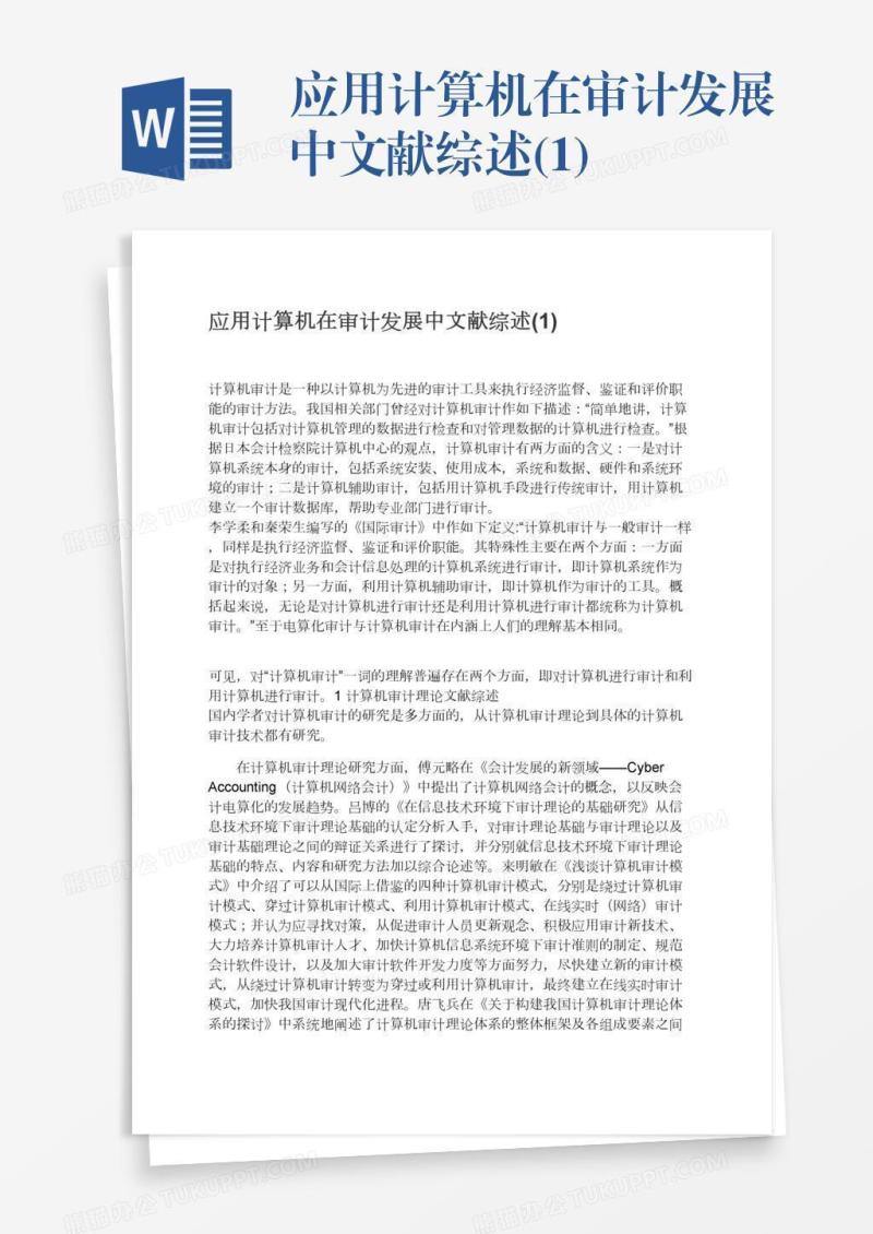 应用计算机在审计发展中文献综述(1)