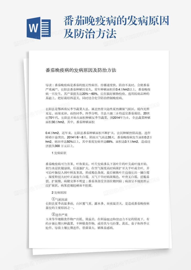 番茄晚疫病的发病原因及防治方法