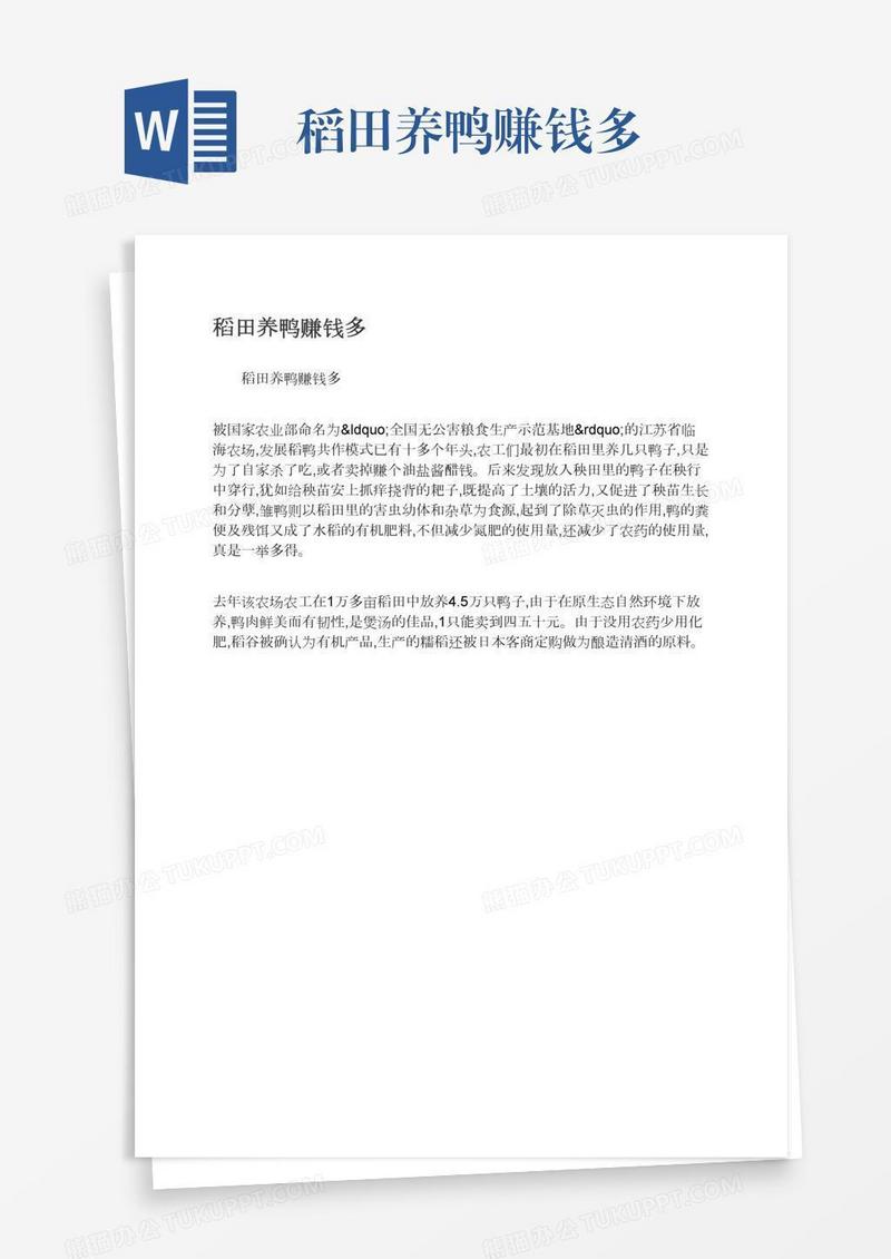 稻田养鸭赚钱多