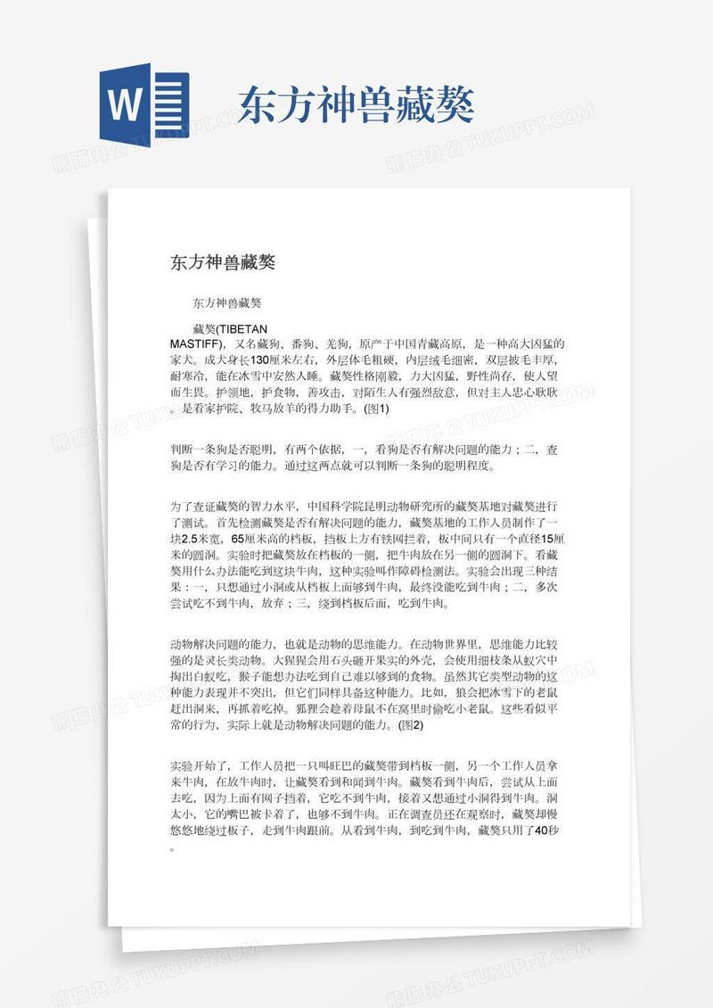 东方神兽藏獒