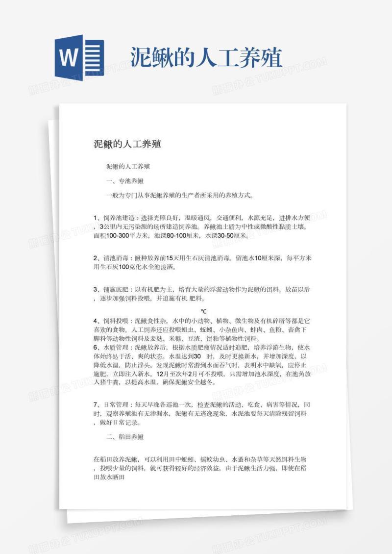 泥鳅的人工养殖