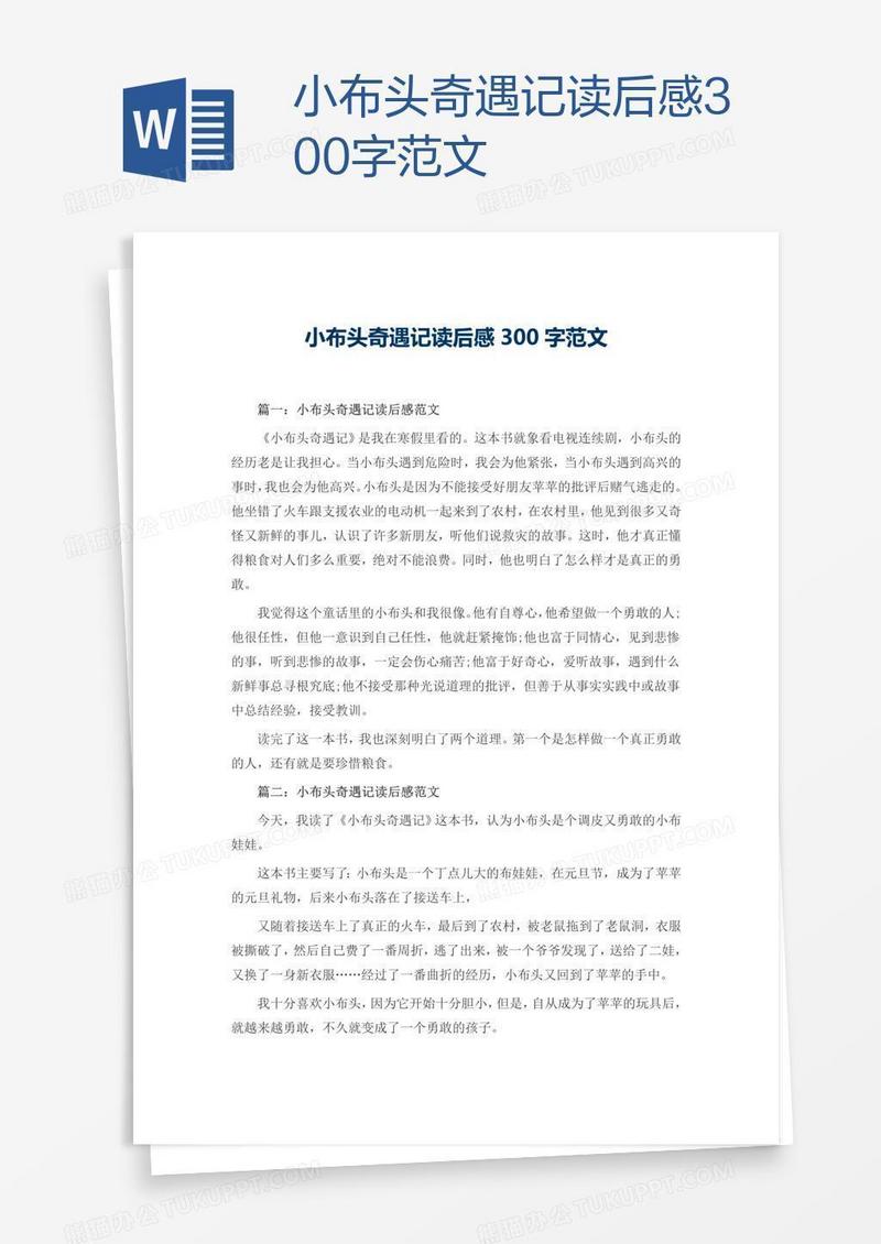 小布头奇遇记读后感300字范文