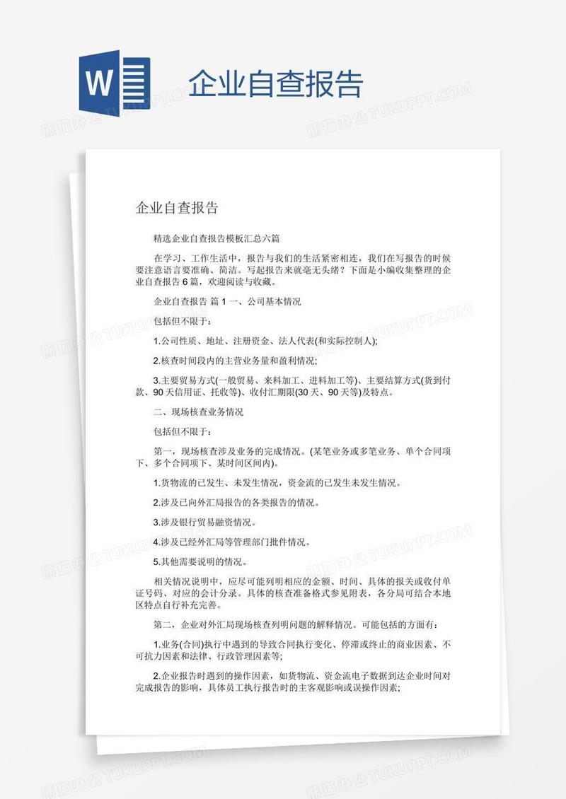 企业自查报告