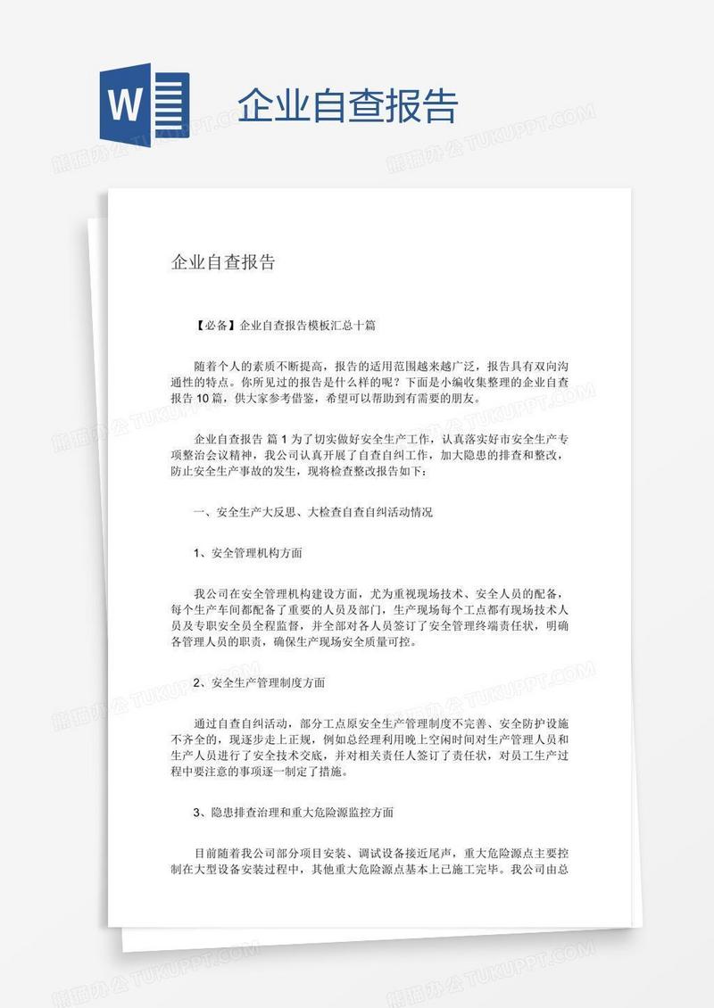 企业自查报告