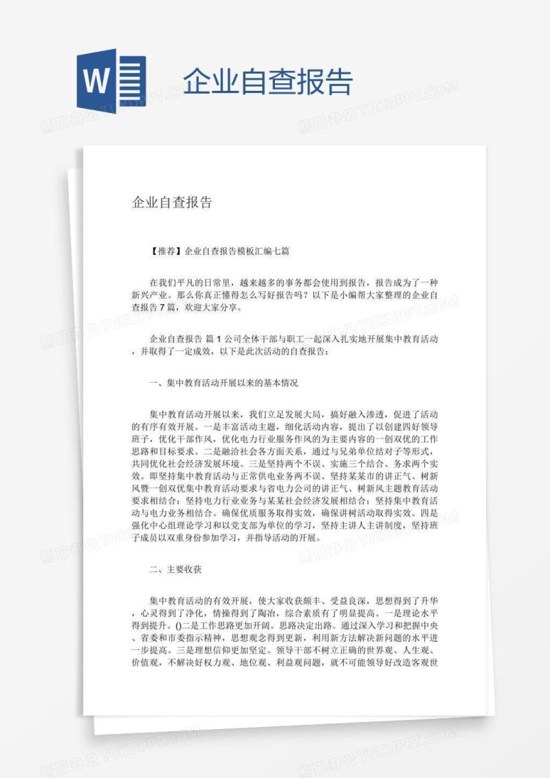 企业自查报告