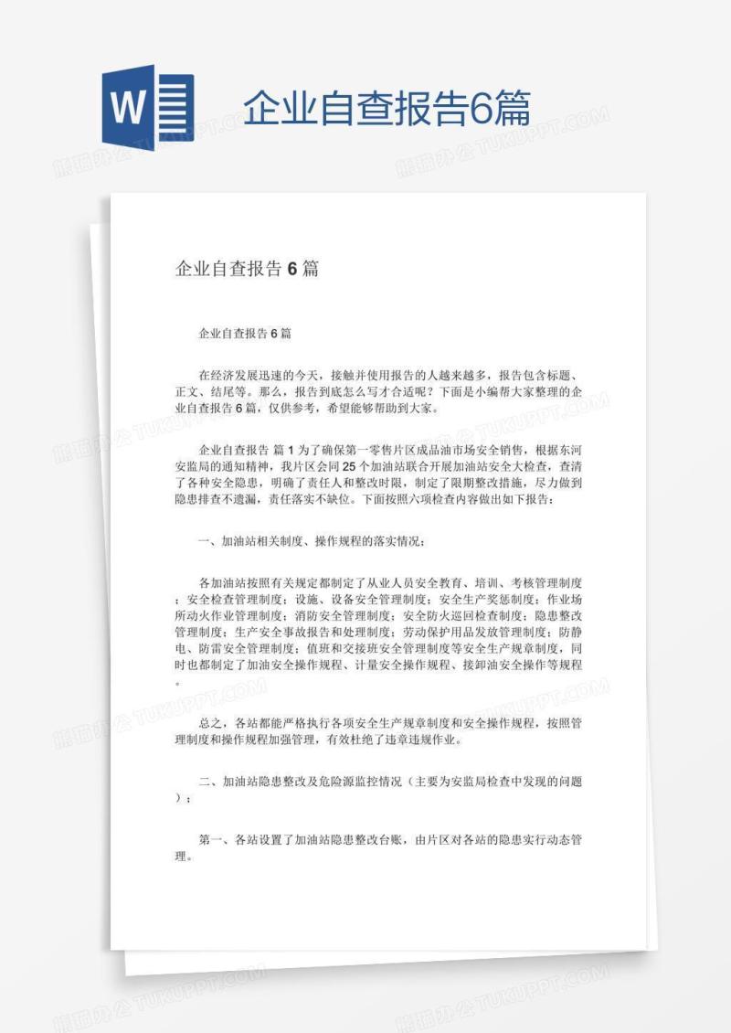 企业自查报告6篇