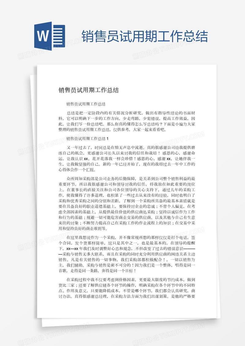 销售员试用期工作总结