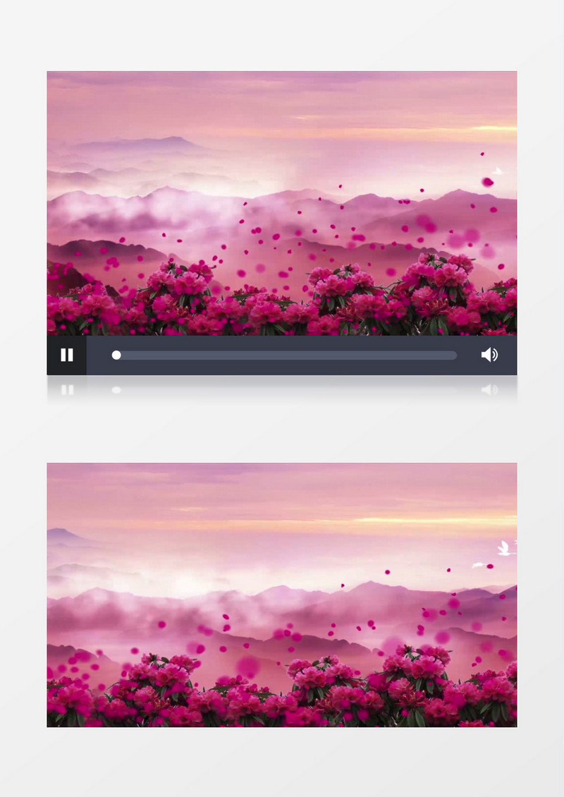 动态唯美红歌映山红背景视频（有音乐）