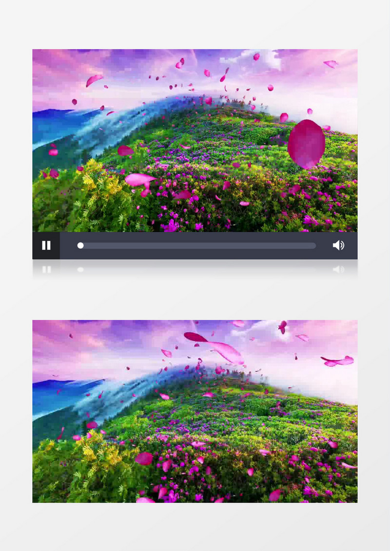 动态漫山花朵花瓣飞舞有音乐背景视频（有音乐）