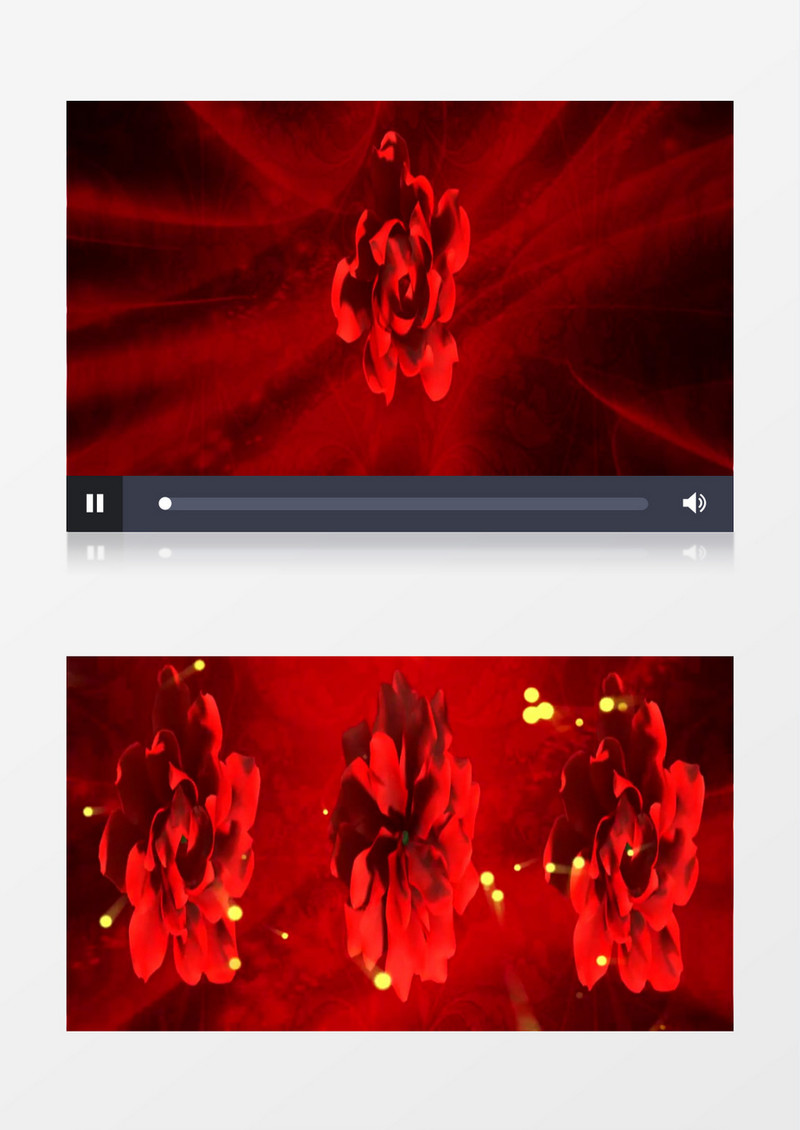 喜庆动感牡丹花开有音乐背景视频