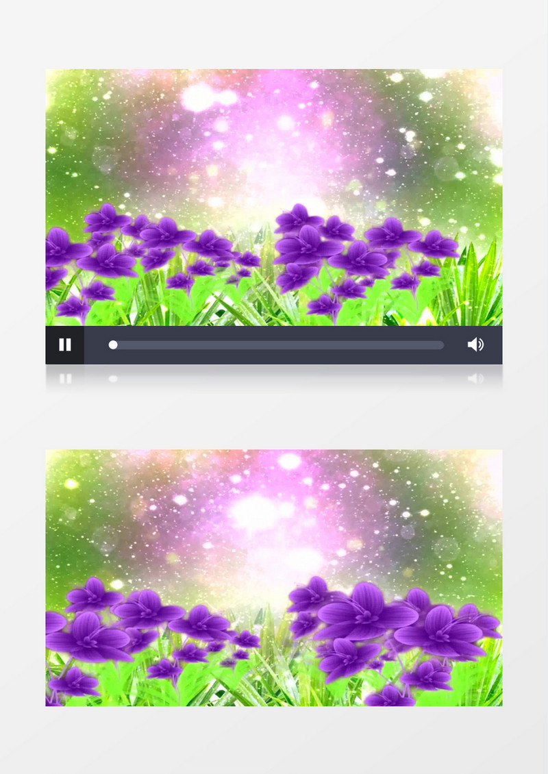 梦幻花香紫色鲜花背景视频（有音乐）