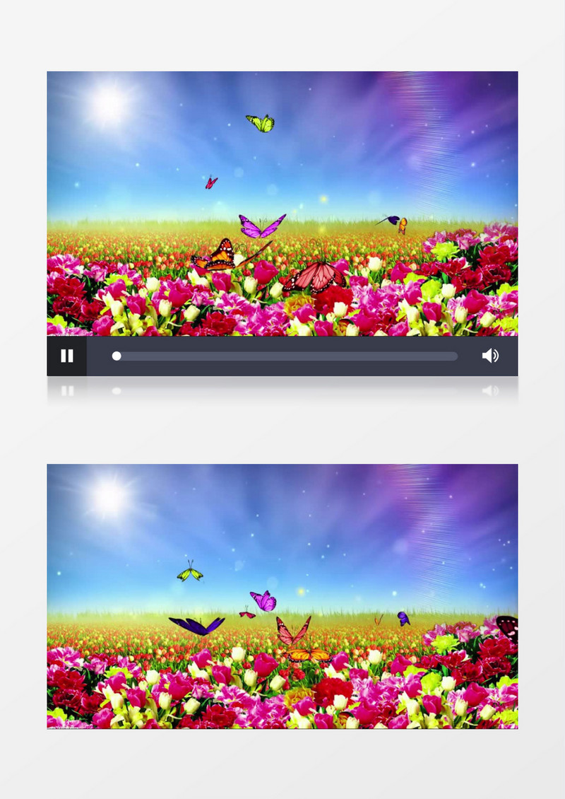 彩色唯美花海蝴蝶飞舞花海背景视频（有音乐）