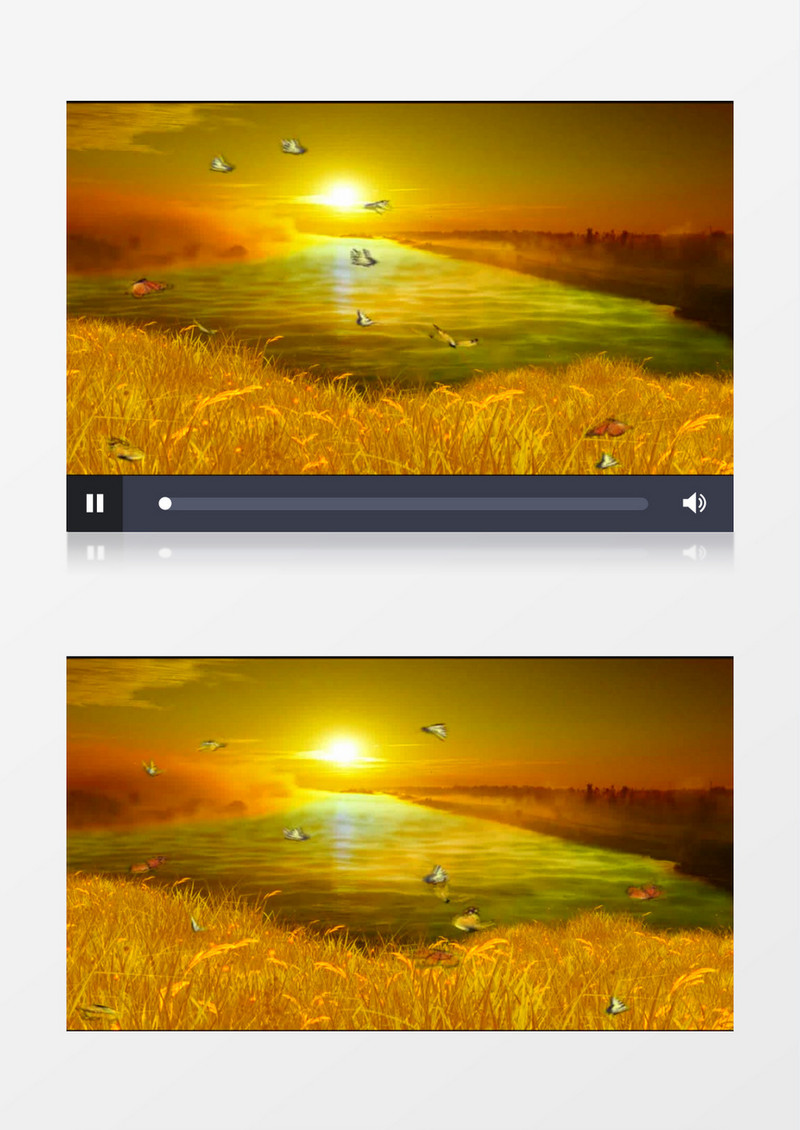 温馨黄色夕阳蝴蝶飞舞背景视频（有音乐）