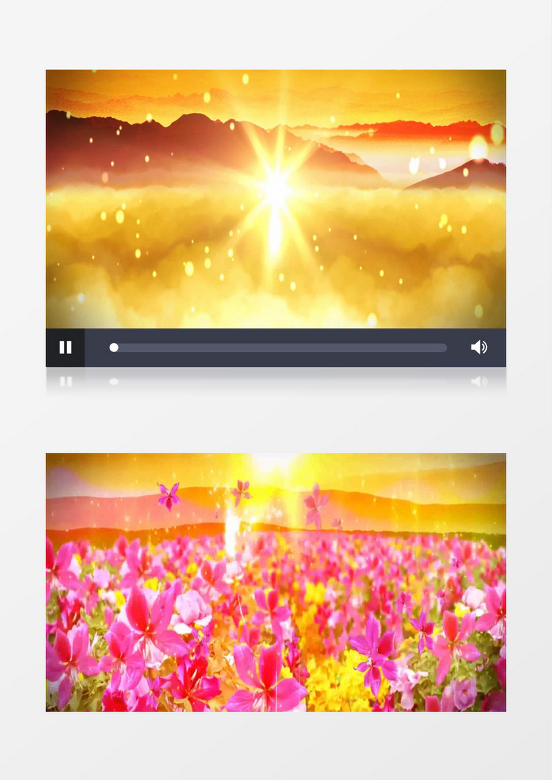 浪漫彩色绚丽花海背景视频（有音乐）