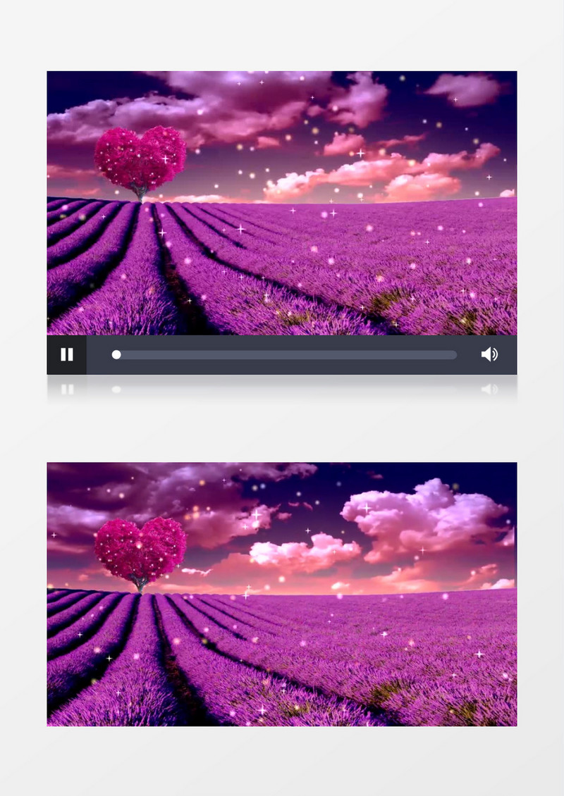 光点闪烁爱心薰衣草花海背景视频（有音乐）