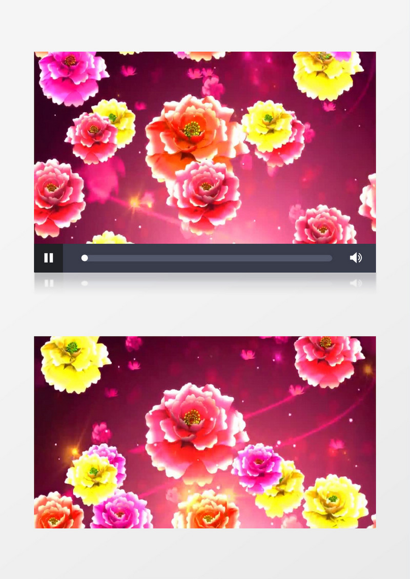 牡丹花开富贵背景视频（有音乐）