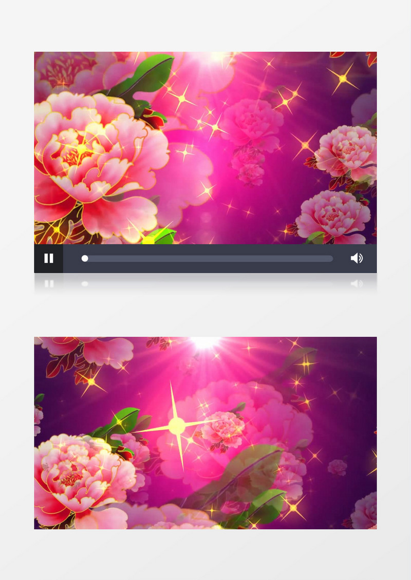 唯美牡丹星光背景视频（有音乐）