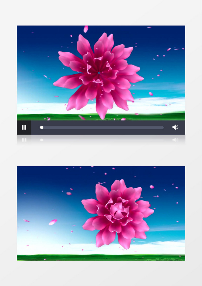 灯笼牡丹花瓣背景视频（有音乐）