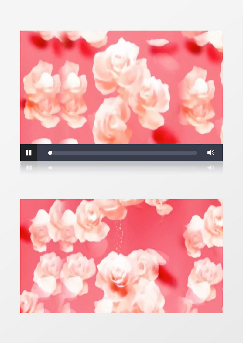粉色牡丹花朵背景视频（有音乐）