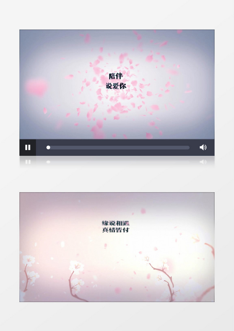 樱花花瓣文字动画片头AE模板