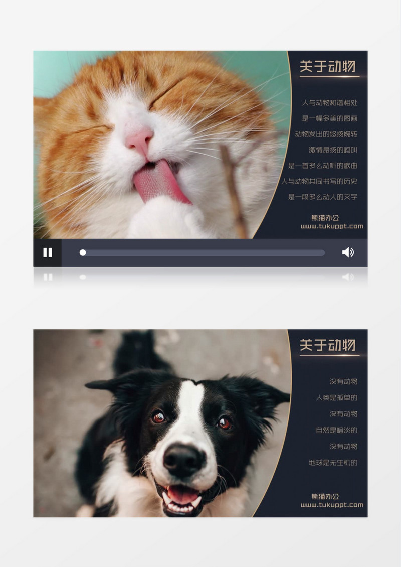 两款大气温暖动物相册图片展示ae视频模板