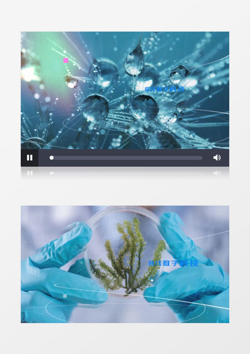 大气曲线数字医疗医学视频幻灯片展示ae模板