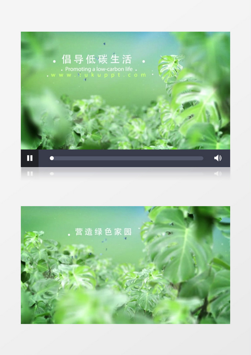 雨林背景文字标题展示ae模板