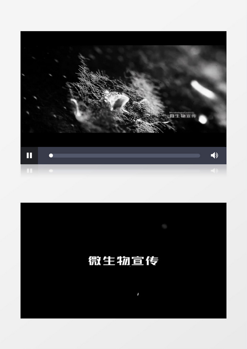 大气微生物标题动画ae模板