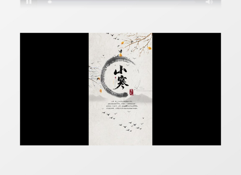 朋友圈竖版简约二十四节气水墨小寒片头AE模版