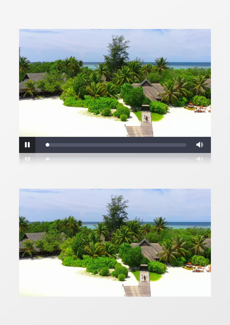 海岛植物草枝展示实拍视频