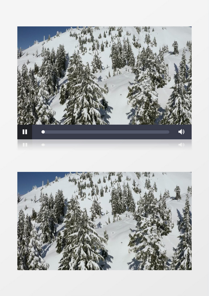 雪坡和松树林实拍视频素材