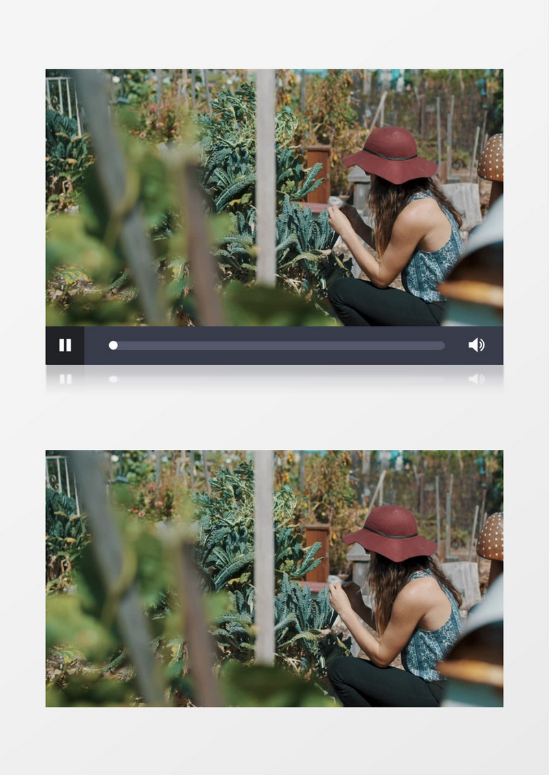 戴帽子的女人在观察植物实拍视频素材