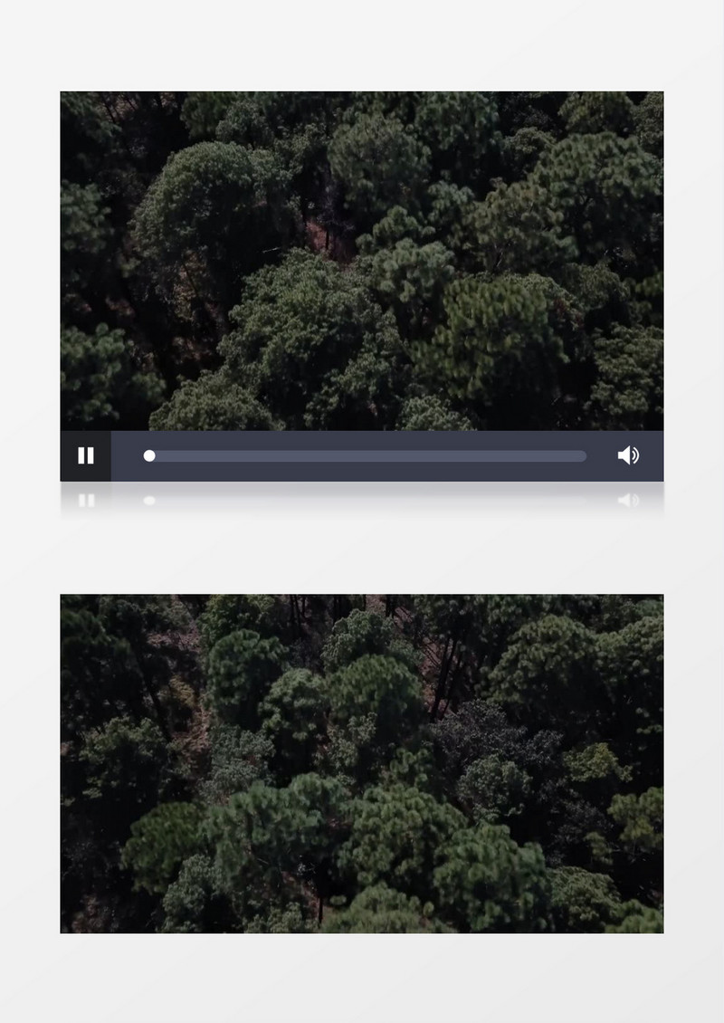 高空航拍茂密的森林实拍视频