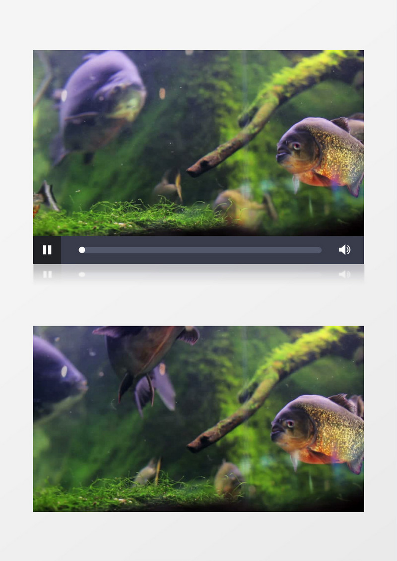 海洋世界自然风景景观实拍视频