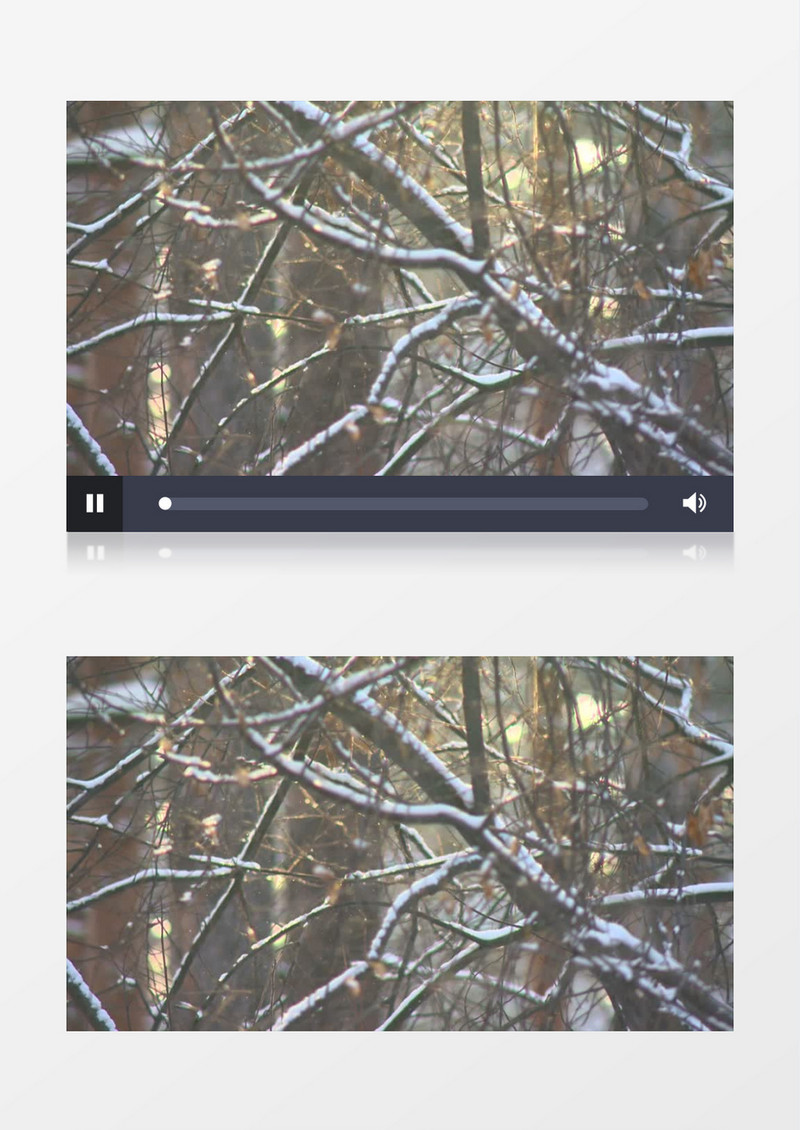 下雪天树枝上盖了一层厚厚的积雪风景实拍视频