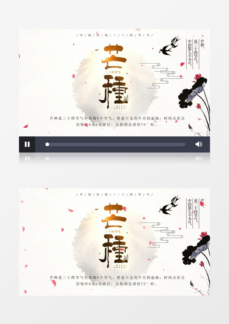 传统文化节气芒种AE模板