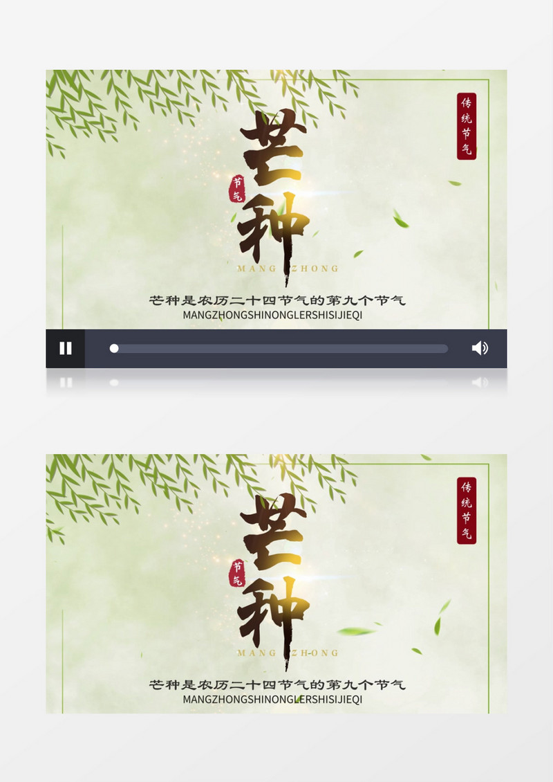 芒种二十四节气AE模板