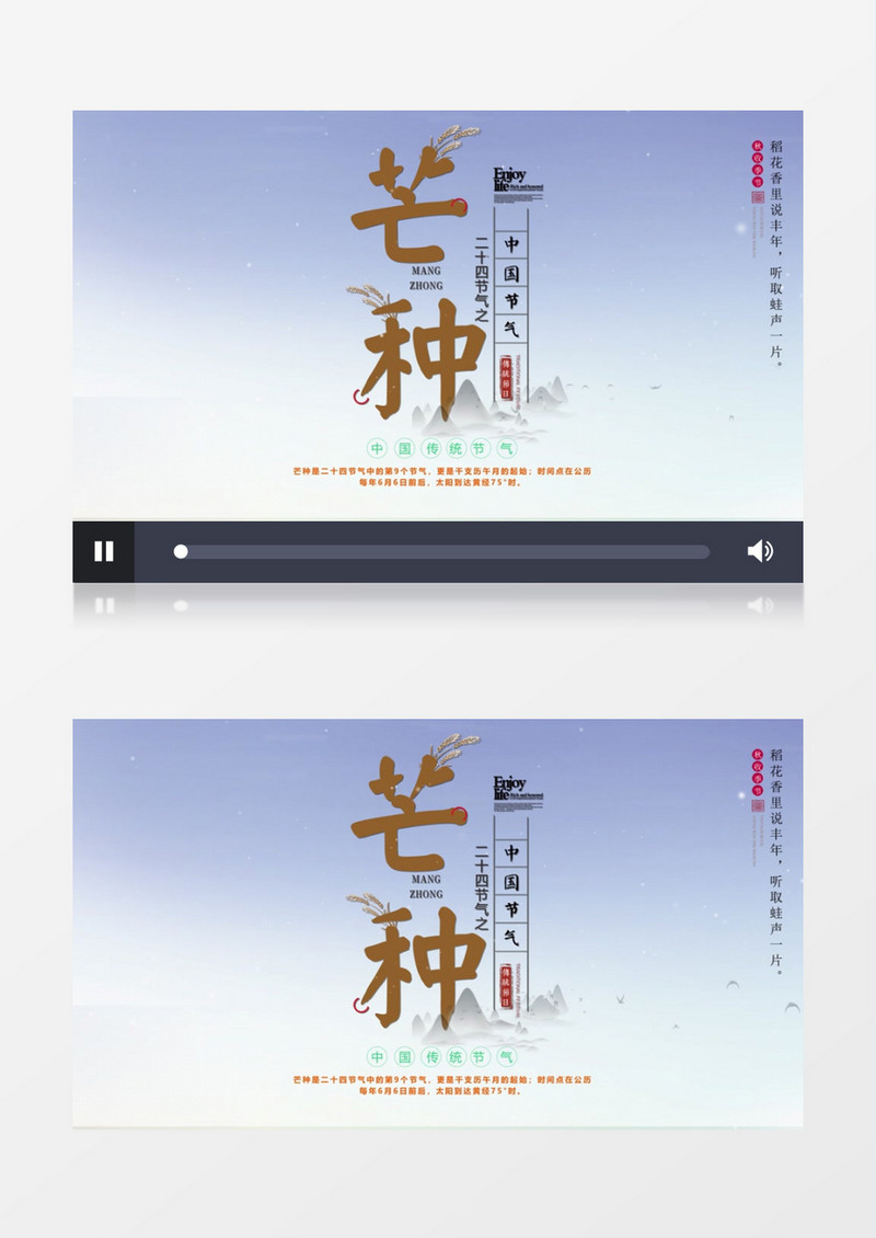 二十四节气芒种AE模板
