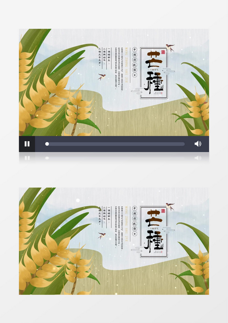 中国风传统文化节气芒种AE模板