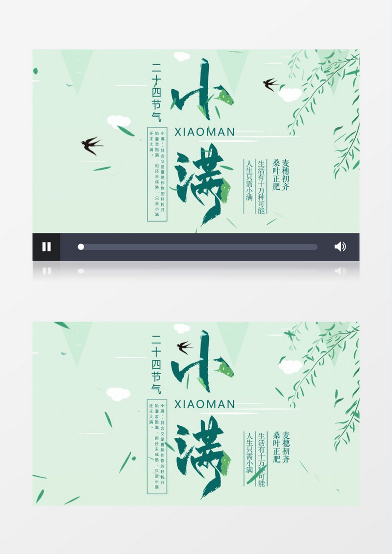 节气小满传统文化AE模板
