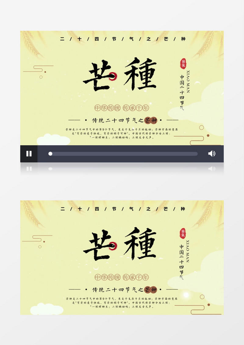 清新简约二十四节气芒种AE模板