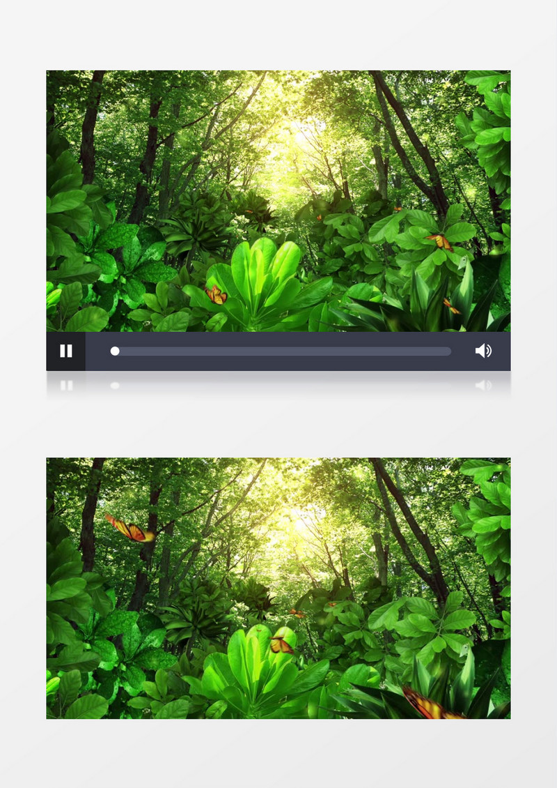 清晨绿色森铃背景动态背景视频