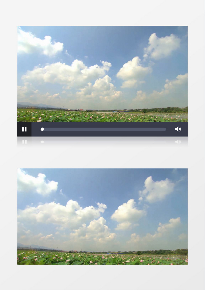大气绿色多彩花卉展示混剪视频背景