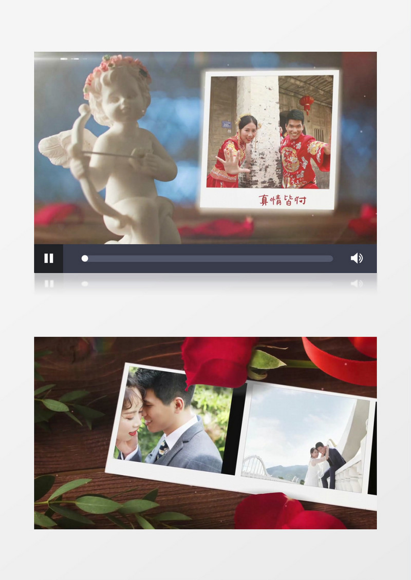 唯美浪漫花瓣婚礼相册片头edius视频模板