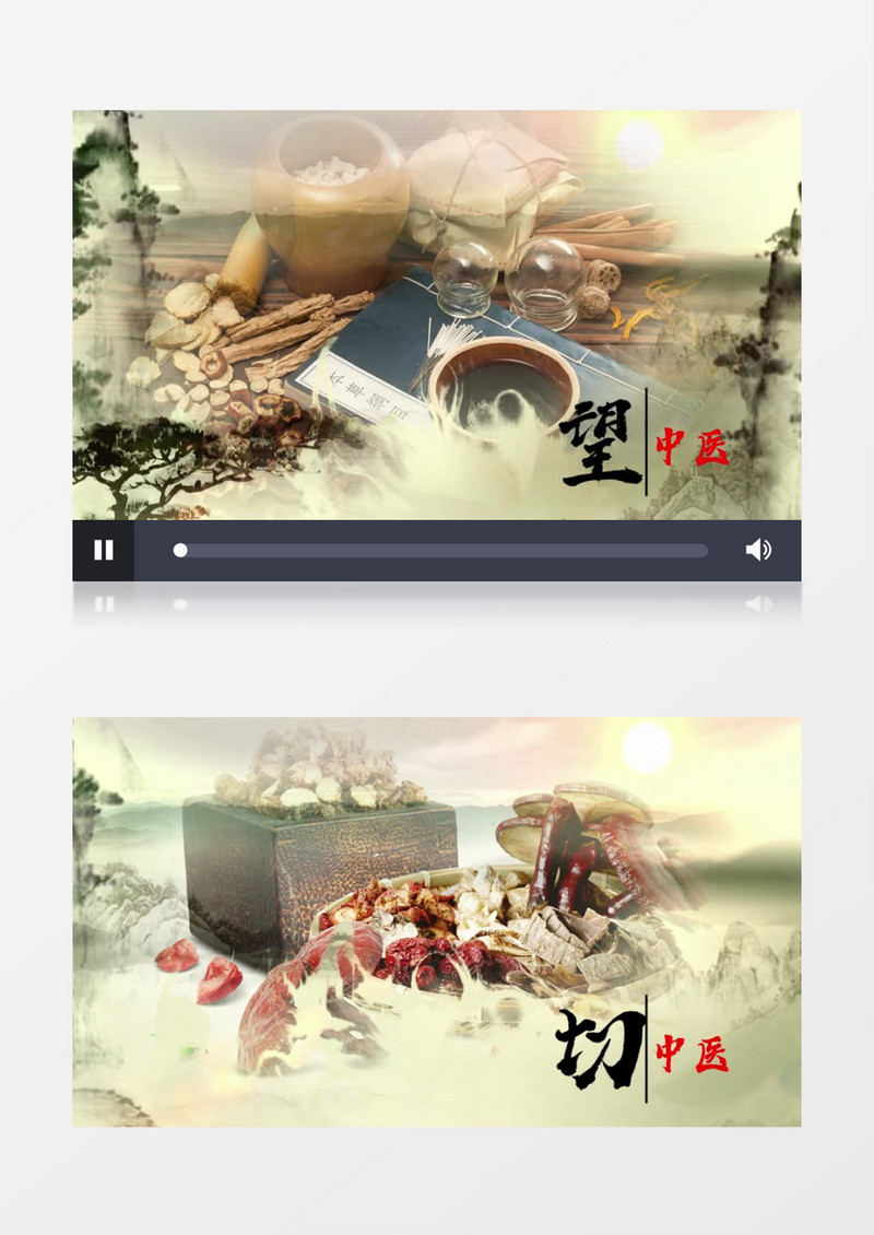 轻快水墨中国风传统中医宣传PR模板