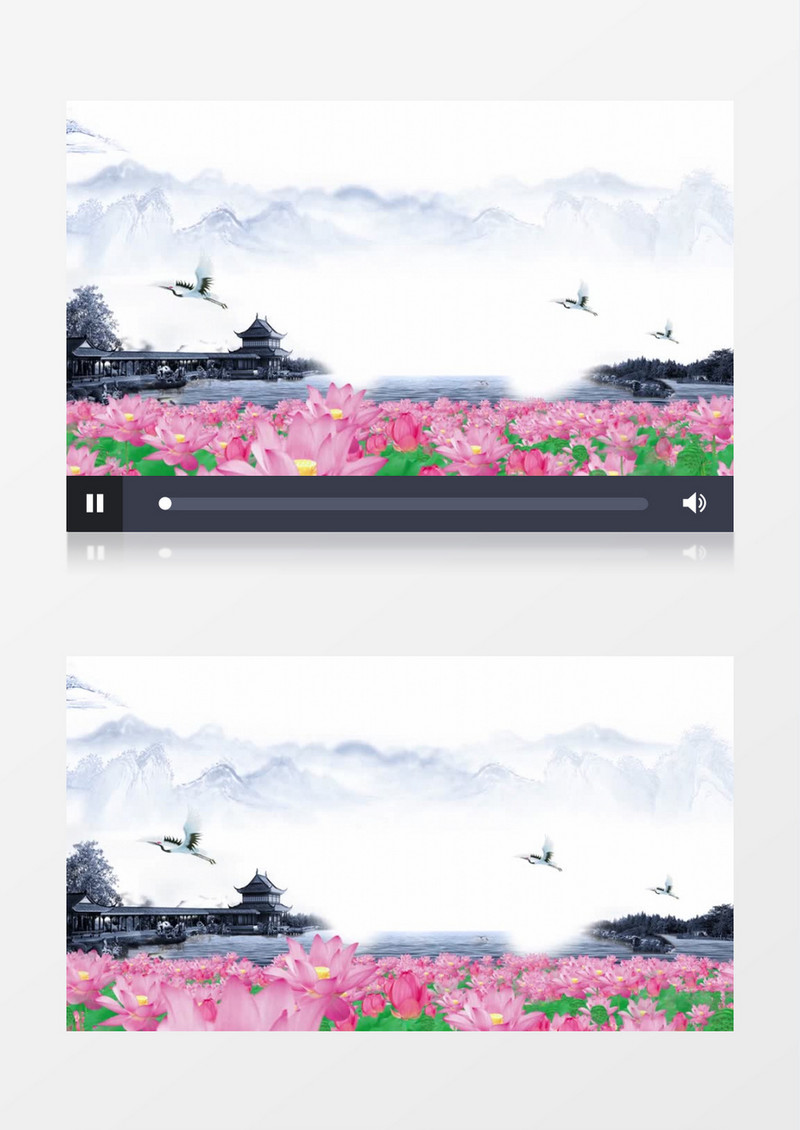 中国风水墨荷花背景视频