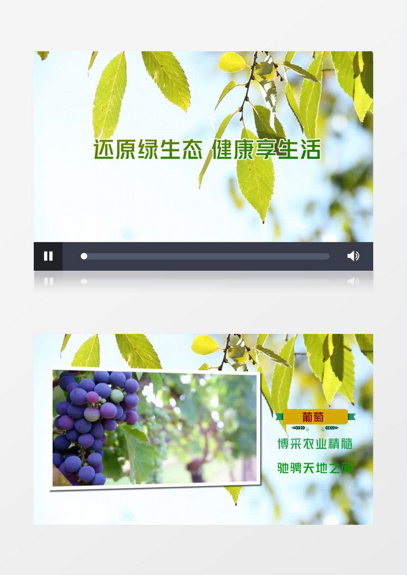 创意清新三农环保宣传片头edius视频模板